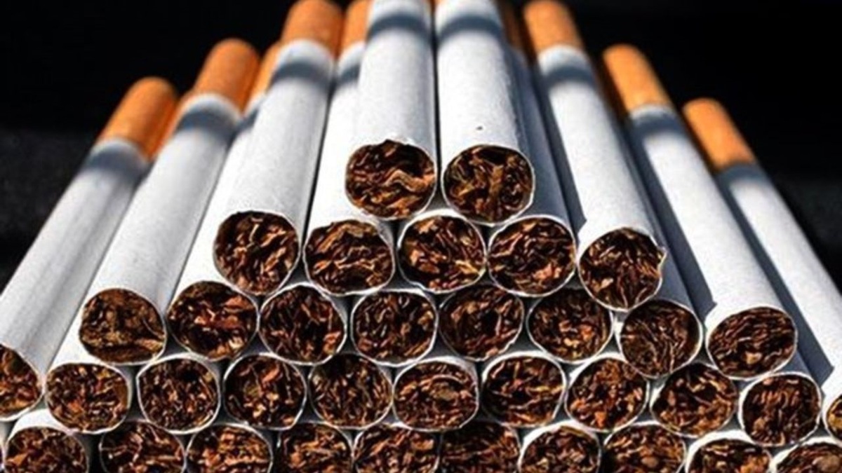 قطع ۶۰۰ میلیون درخت برای تولید سالانه ۶ هزار میلیارد نخ سیگار در جهان