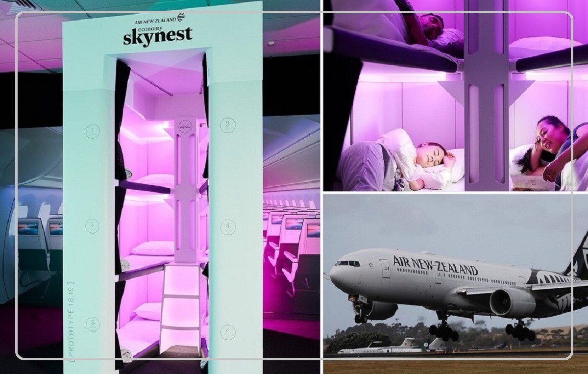 نوآوری شرکت هواپیمایی نیوزیلند برای خواب راحت مسافران (+عکس)