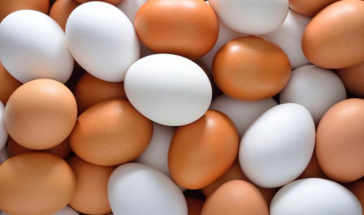 ببینید| ازدحام برای خرید تخم‌مرغ در عربستان