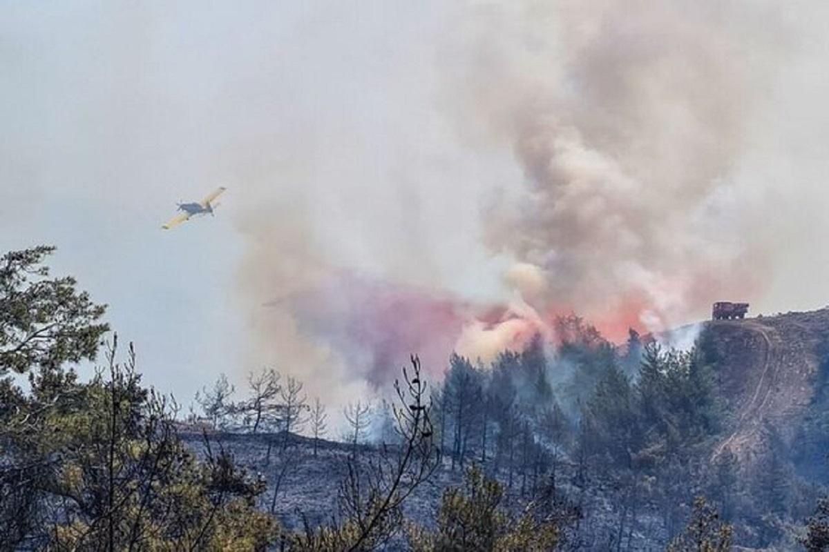 تشدید آتش سوزی در جنگل های جنوب غربی ترکیه