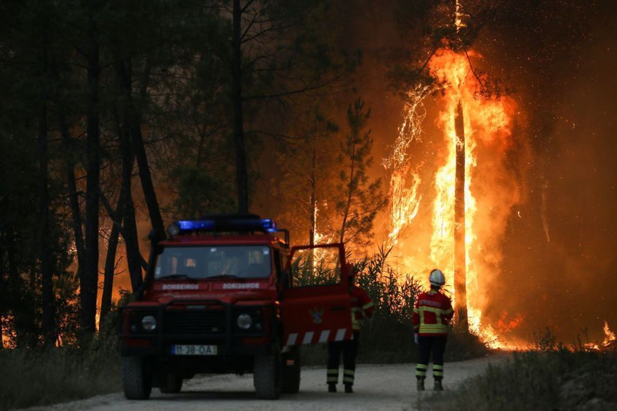 افزایش بی سابقه دمای هوا در اروپا / آتش سوزی مناطق جنگلی در پرتغال، فرانسه و اسپانیا