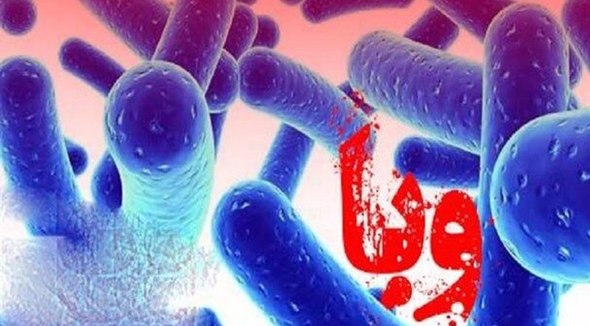 ابتلای ۱۷ نفر به بیماری وبا در کردستان