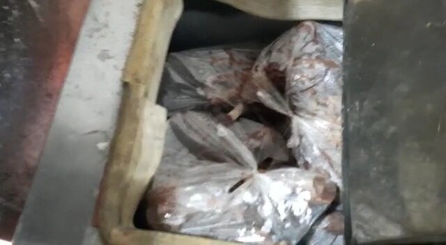 ببینید | خرکُشی در حاشیه تهران / از قیمت بالای «روغن خر» تا مصرف گوشت برای سگ‌های نگهبان 4