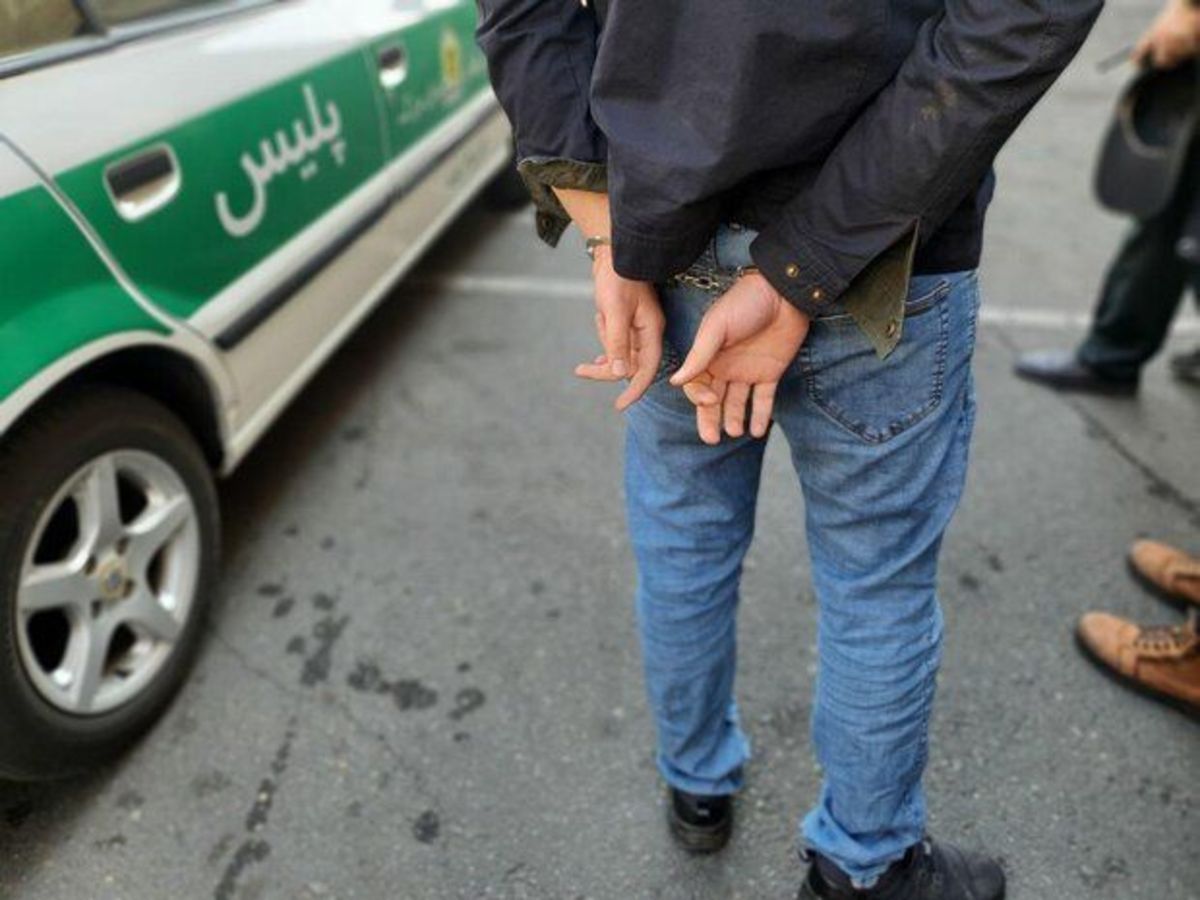 درخت دزدی در شهر ری تهران/ پلیس: 3 نفر دستگیر شدند