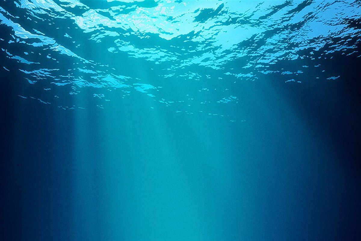 ببینید| کف دریاها و اقیانوس‌ها چقدر عمق دارد؟