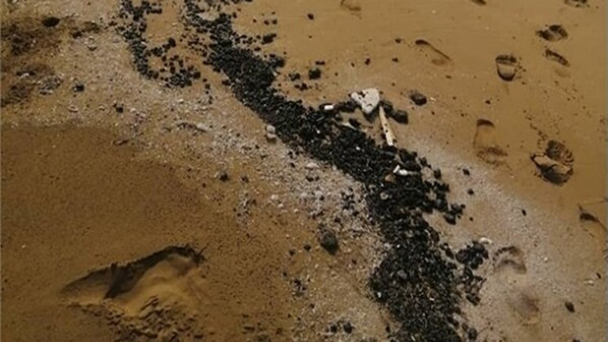 سازمان بنادر: آلودگی نفتی ساحل کنگان بوشهر / منشاء به احتمال زیاد "فروزان" است