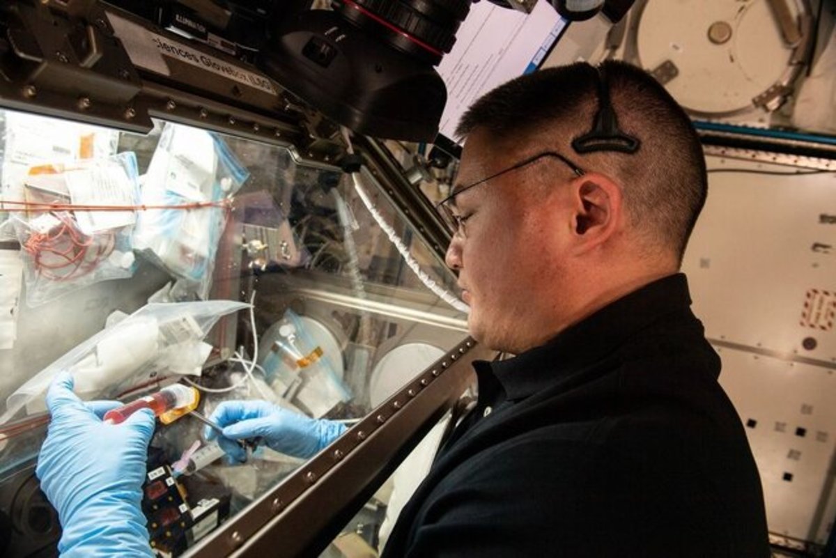 ایستگاه فضایی: میکروب‌ها حتی در فضا هستند