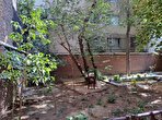 ببینید | پیکر ابتهاج در تهران و از کنار درخت ارغوان تشییع نمی‌شود
