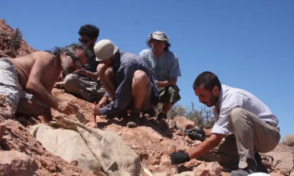 کشف فسیل یک دایناسور زرهی در آرژانتین