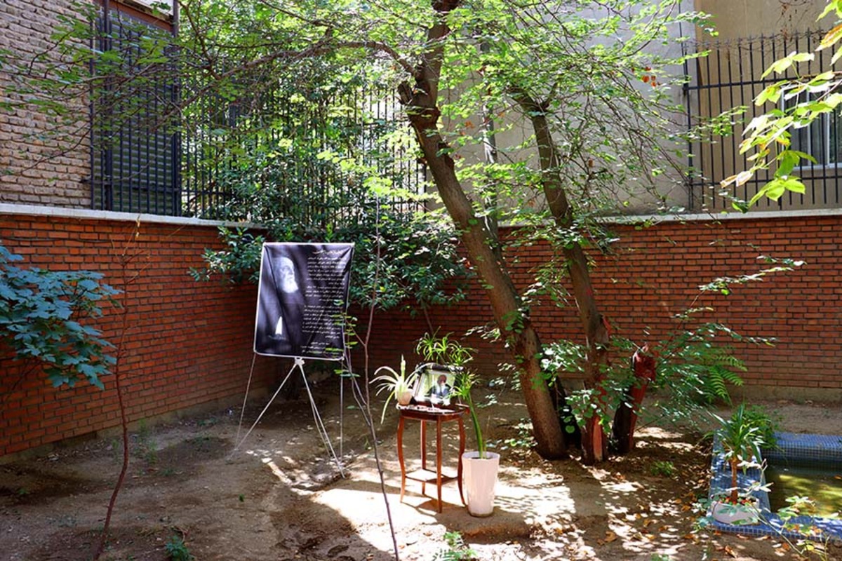 درخت ارغوان هوشنگ ابتهاج و خانه‌اش در تهران چه وضعیتی دارد؟ خانه‌اش را در رشت تخریب کرده‌اند (فیلم)