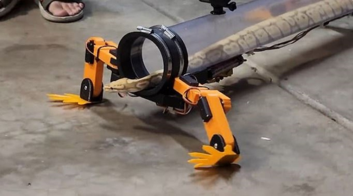 ببینید| رباتی که به مار‌ها کمک می‌کند که روی دست و پا راه بروند