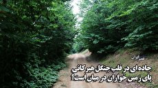 حمله تند روزنامه کیهان به احسان علیخانی و جوکر 3