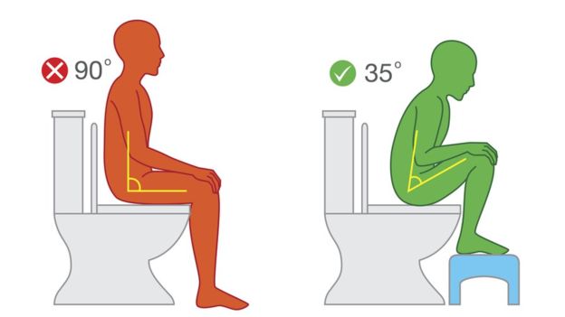 چند نکته درباره روش استفاده درست از توالت فرنگی! (+عکس)