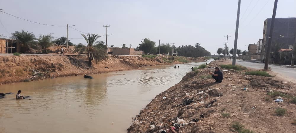 خوزستان؛ نهر عبودی پرآب شد؛ گاومیش ها خوشحال شدند