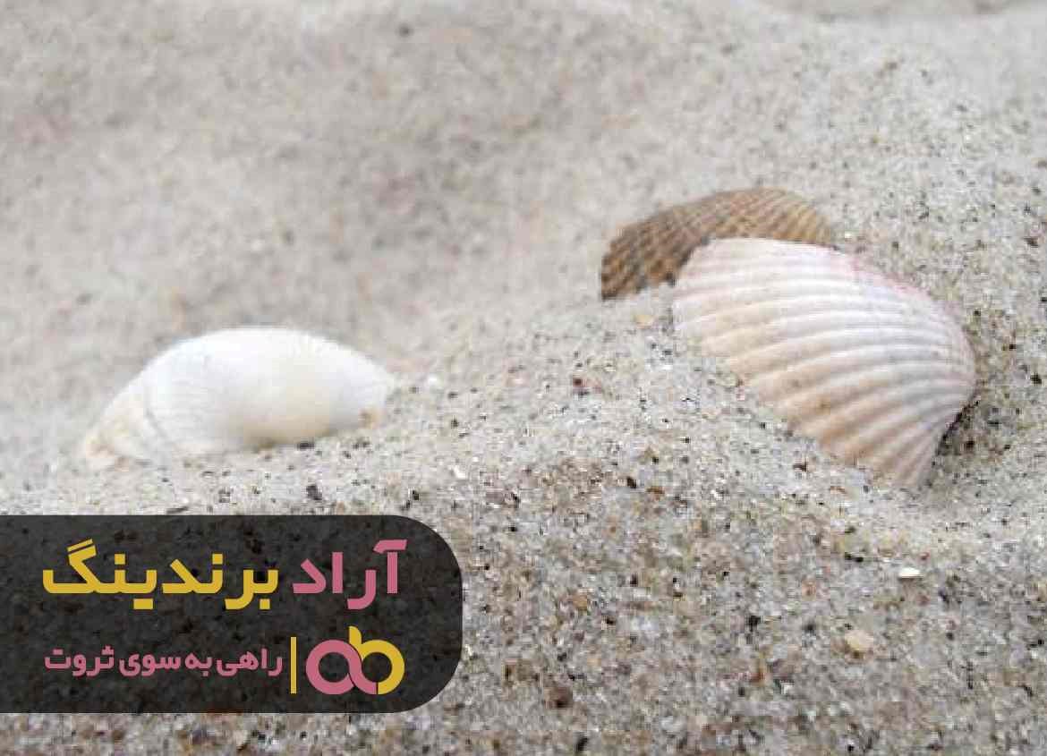 چرا امسال قیمت خرید صدف معدنی شکری کاهش یافت؟