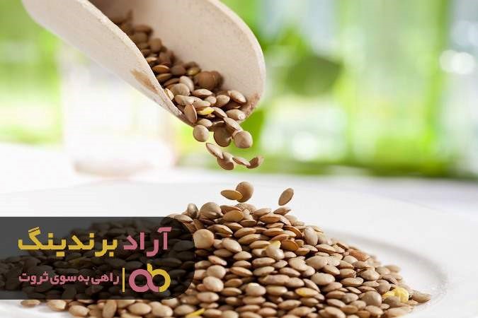 مناسب ترین قیمت عدس درشت ایرانی در ارومیه