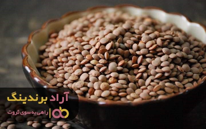 مناسب ترین قیمت عدس درشت ایرانی در ارومیه