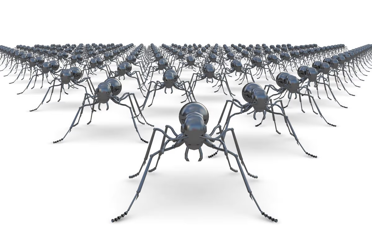 مورچه ها مهم هستند/ تعدادشان روی کره زمین  چقدر است؟!