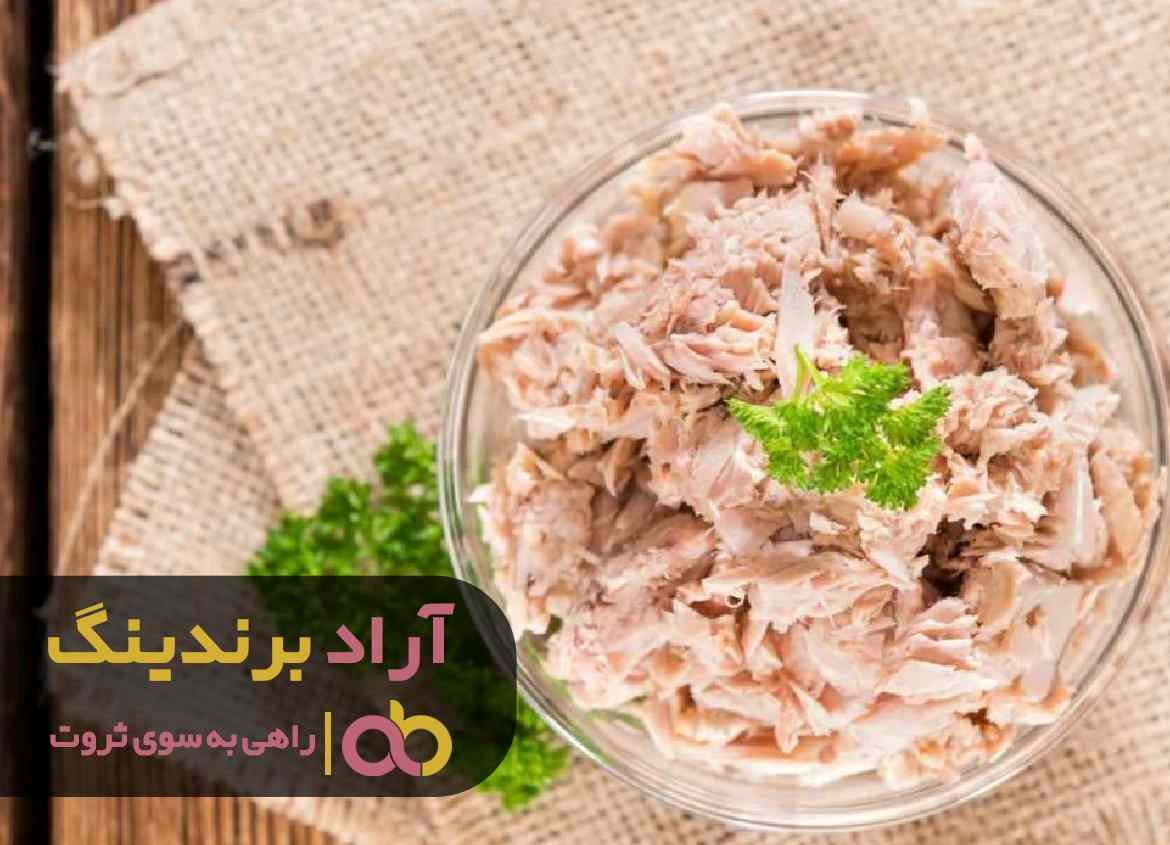خرید کنسرو ماهی پالتی تن کالچر خرید کنسرو ماهی پالتی تن کالچر