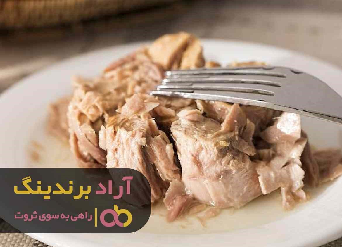 خرید کنسرو ماهی پالتی تن کالچر خرید کنسرو ماهی پالتی تن کالچر