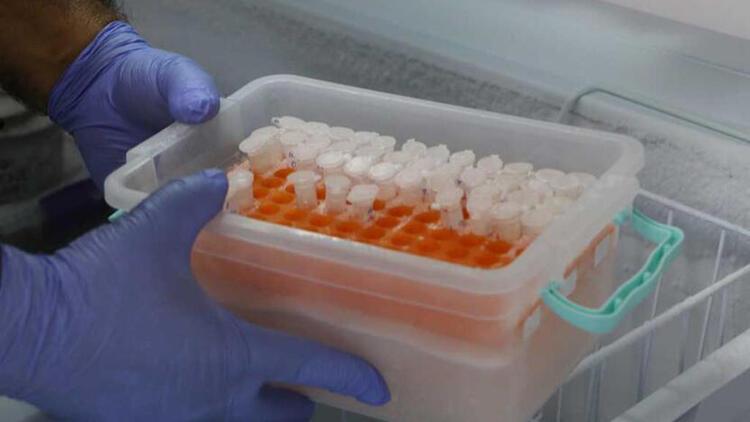 زهر عقرب، لیتری ۱۰ میلیون دلار