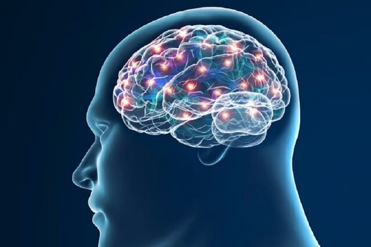 راز حافظه قوی در برخی سالمندان کشف شد: ابرنورون‌ها در مغز