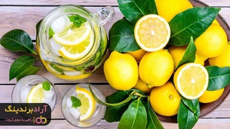 لیمو ترش شیرازی خوب را از کجا تهیه کنیم؟