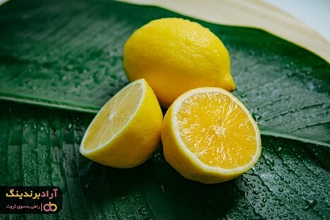 لیمو ترش شیرازی خوب را از کجا تهیه کنیم؟