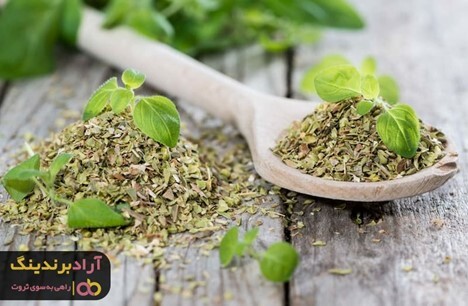 قیمت سبزی خشک خوب را از کجا استعلام بگیریم؟