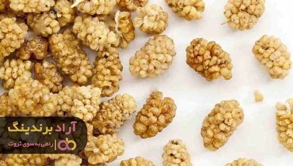 خواص توت خشک هرات برای سیستم ایمنی بدن انسان خواص توت خشک هرات برای سیستم ایمنی بدن انسان