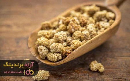 خواص توت خشک هرات برای سیستم ایمنی بدن انسان خواص توت خشک هرات برای سیستم ایمنی بدن انسان