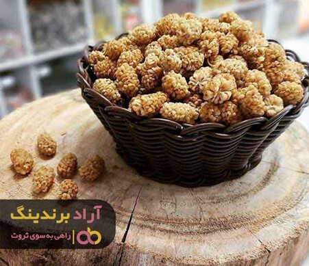 خواص توت خشک هرات برای سیستم ایمنی بدن انسان خواص توت خشک هرات برای سیستم ایمنی بدن انسان