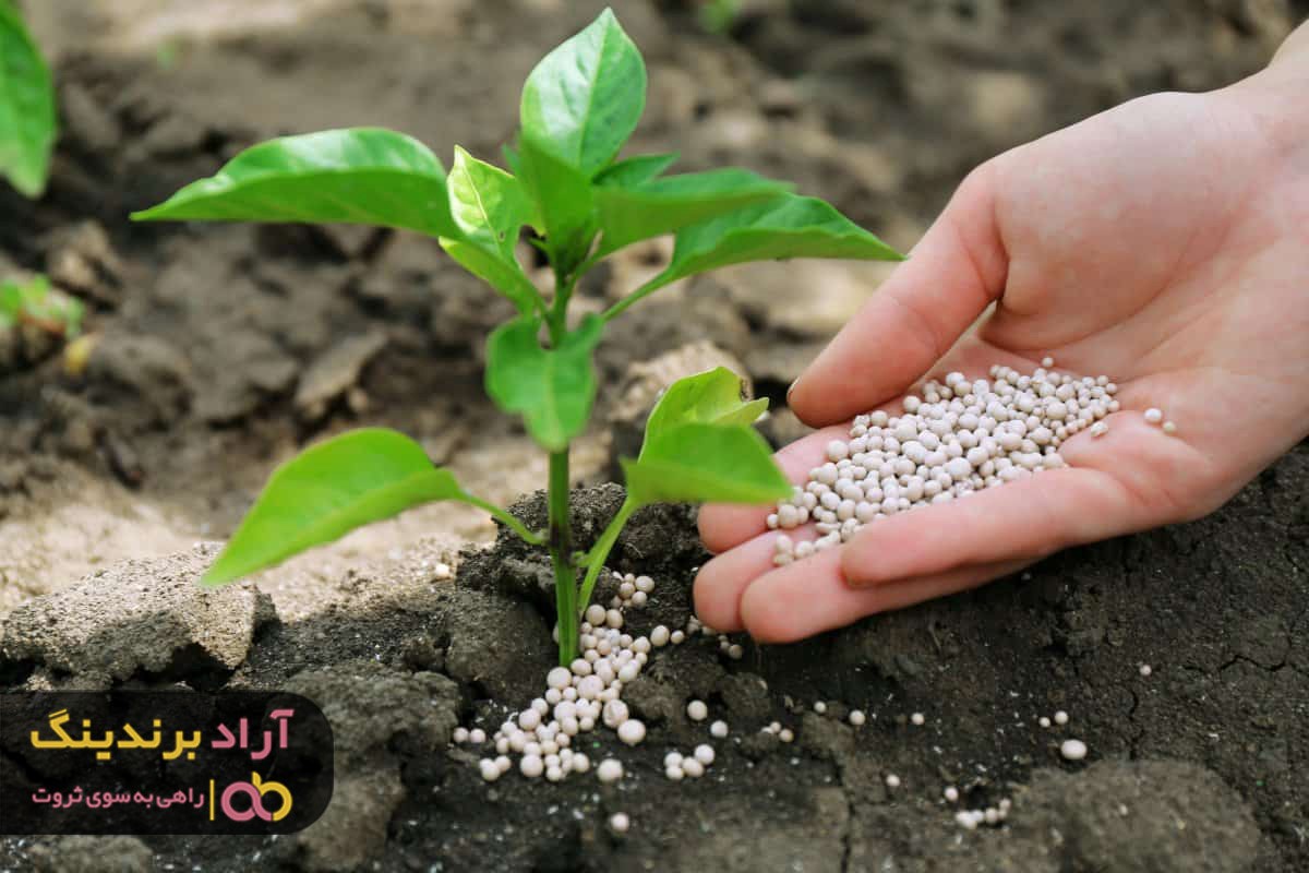 کود شیمیایی اوره چه ویژگی ها و مصارفی دارد؟