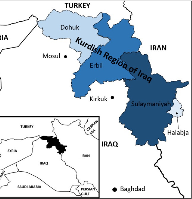 ارتش امریکا: سرنگونی پهپاد ایرانی در کردستان عراق/ سردار باقری: ثابت می کند امریکا همدست تروریست هاست