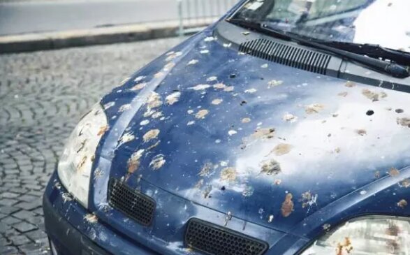 مهمترین عوامل نابودی رنگ خودرو مهمترین عوامل نابودی رنگ خودرو