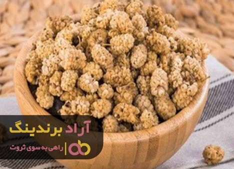 توت خشک خانگی خواص بیشتری دارد