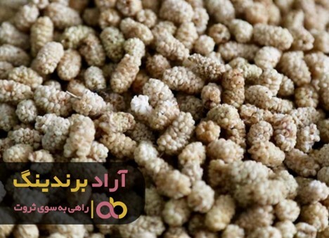 توت خشک خانگی خواص بیشتری دارد