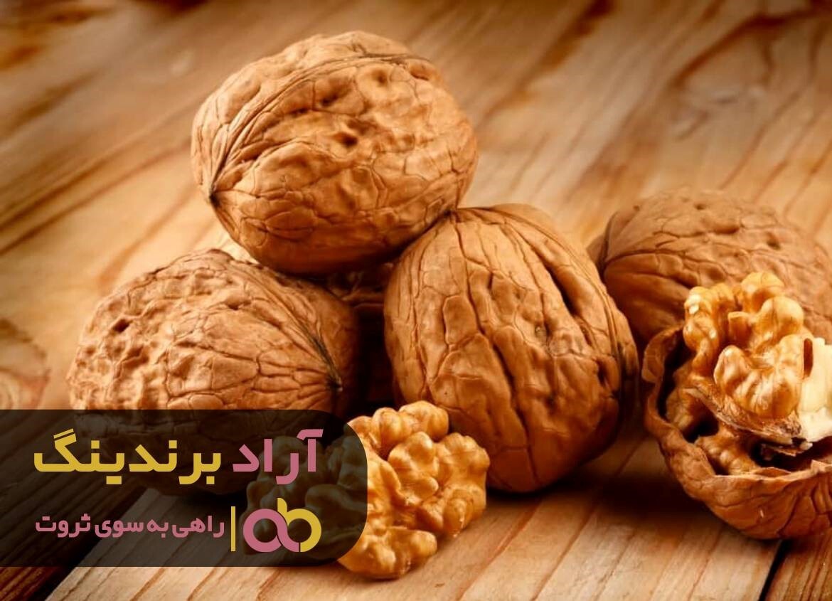 پخش گردو تویسرکان به سراسر ایران از سر گرفته شد پخش گردو تویسرکان به سراسر ایران از سر گرفته شد