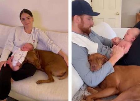 واکنش جالب سگ خانواده به دیدن نوزاد ۳روزه (+عکس)