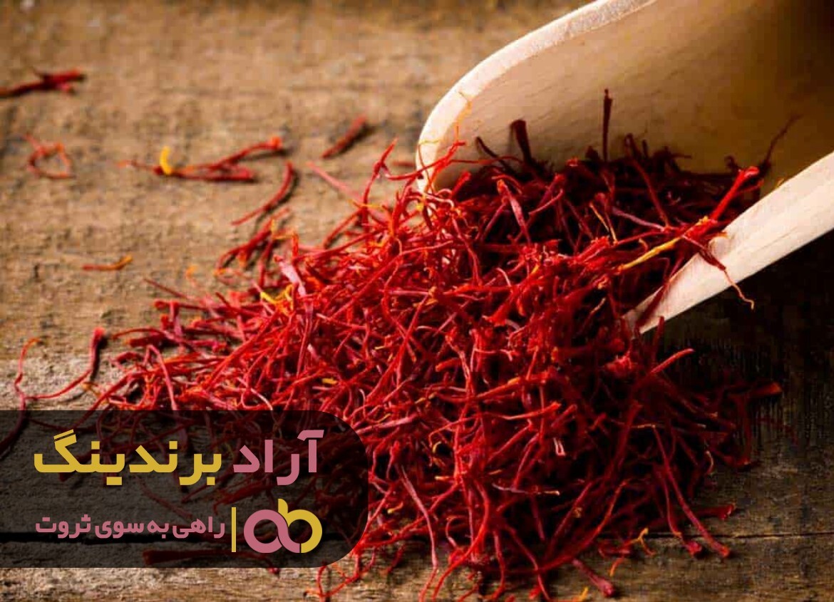 برداشت زعفران نگین اعلا آغاز شد