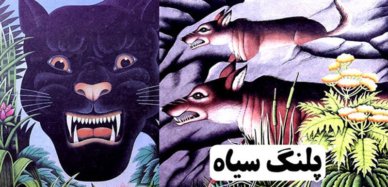 بهزاد غریب‌پور تصویرگر و گرافیست در غربت درگذشت