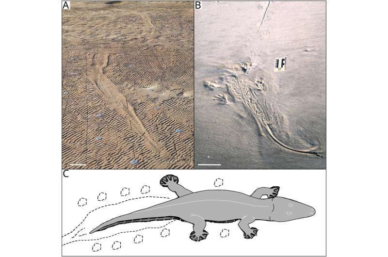 ظاهر عجیب اجداد کروکودیل‌ها