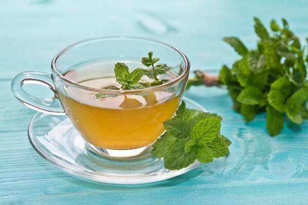 دمنوش نعناع