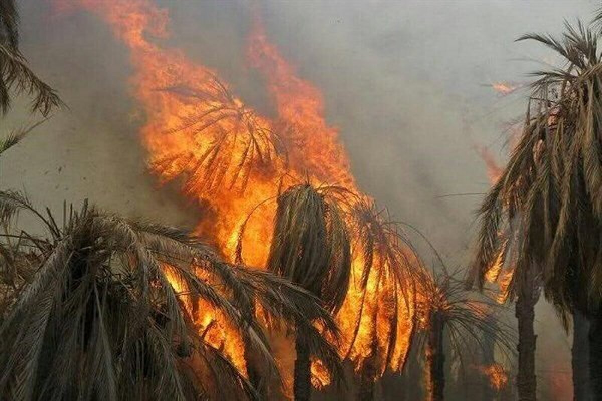 سراوان گیلان همچنان در آتش می سوزد