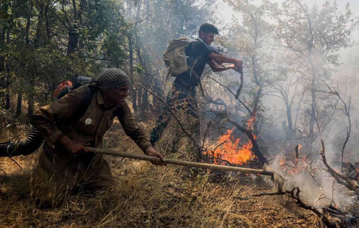آتش سوزی در اراضی جنگلی پنج شهرستان گیلان
