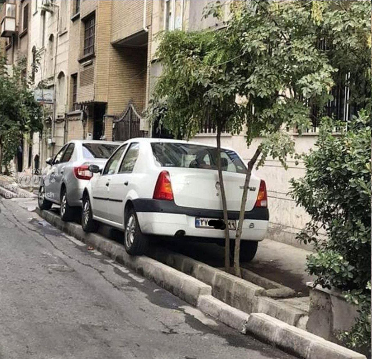 پارک کردن خودرو