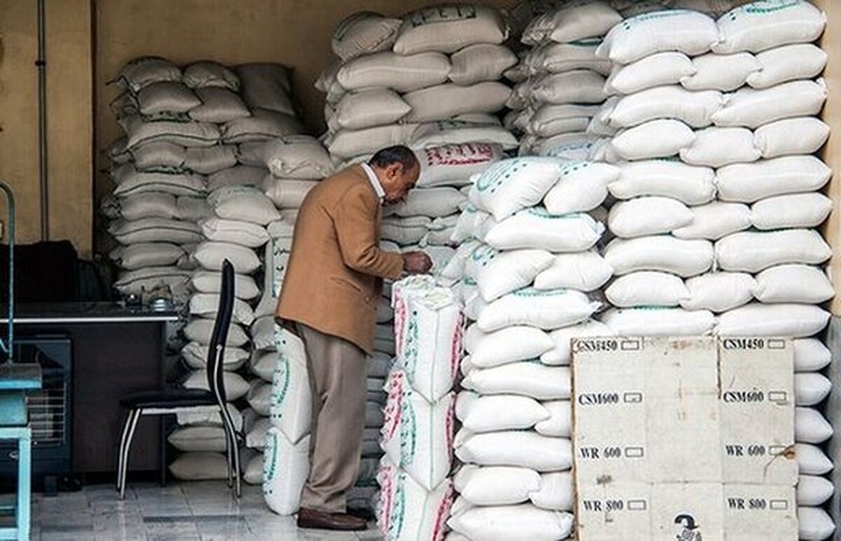 جهاد کشاورزی: فسادی در واردات برنج نداشتیم/ سهم ۱۵ درصدی شرکت‌ها در واردات برنج
