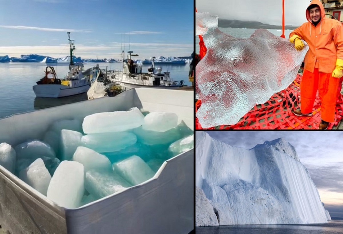 ارسال یخ‌های 100 هزار ساله از گرینلند به کافه‌های امارات (+عکس)