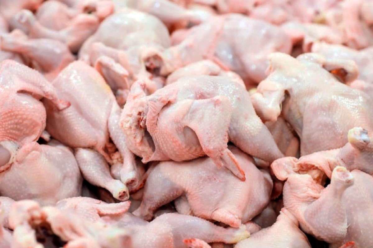 درخواست اتحادیه مرغداران برای افزایش قیمت مرغ به ۸۵ هزار تومان