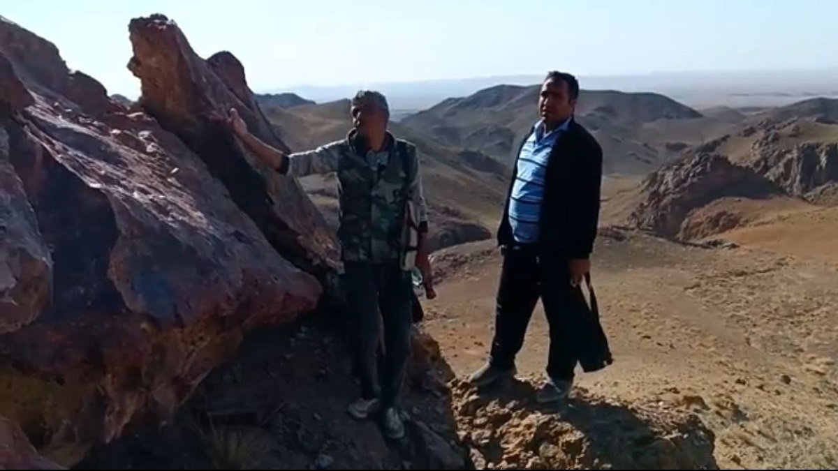 لحظه کشف بزرگترین سنگ عقیق شجر جهان توسط یک شکارچی ایرانی (فیلم)
